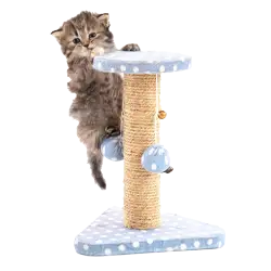 kitten on a cat scratching tree
