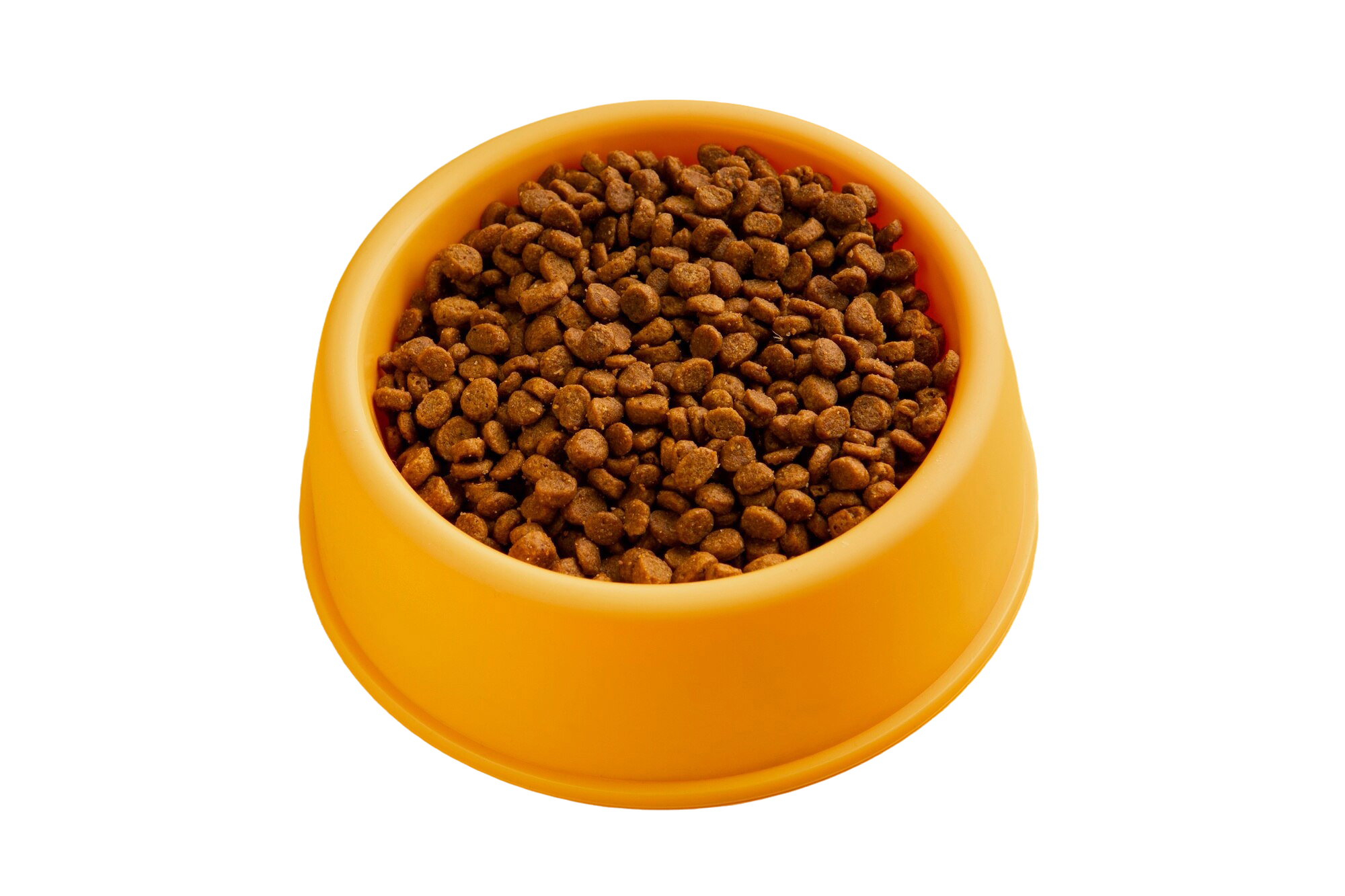 Dog Bowls & Accessories