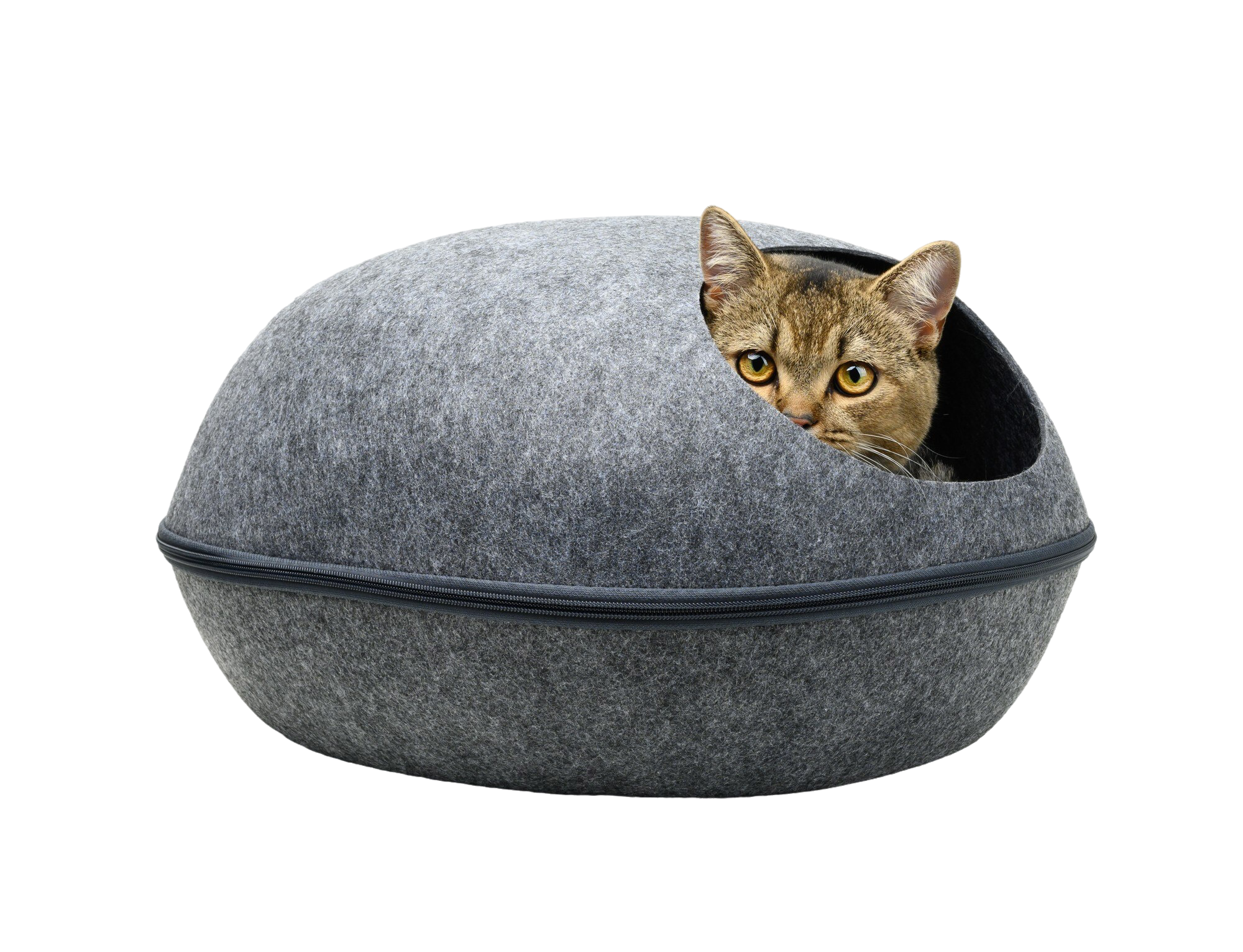 Cat Beds & Bedding